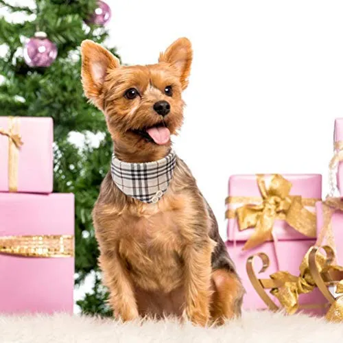 EXPAWLORER Juego de collar y correa para perro, clásico, a cuadros, ajustable, bandana y collares con campana para cachorros y gatos, 3 unidades
