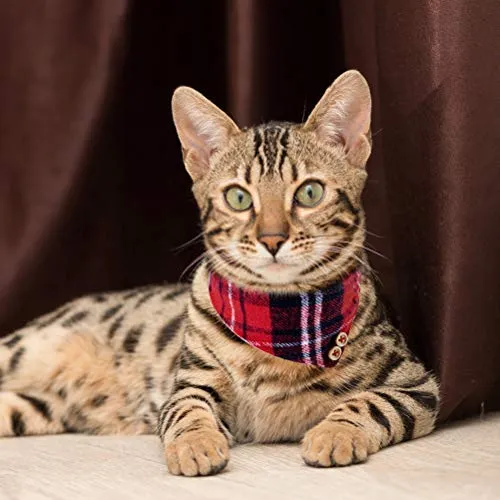 EXPAWLORER Juego de collar y correa para perro, clásico, a cuadros, ajustable, bandana y collares con campana para cachorros y gatos, 3 unidades