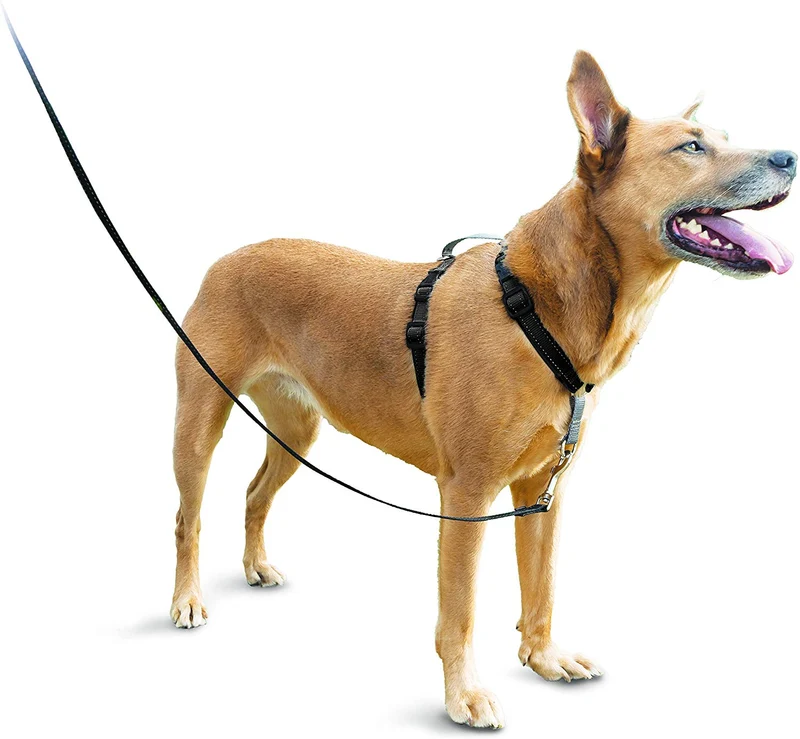 PetSafe 3in1 Harness, from The Makers of The Easy Walk Harness