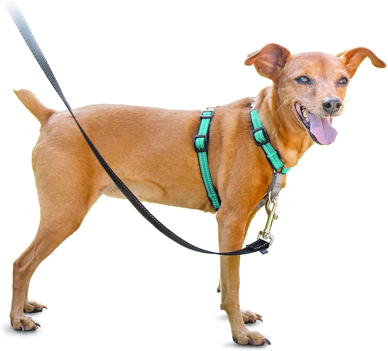 PetSafe 3in1 Harness, from The Makers of The Easy Walk Harness