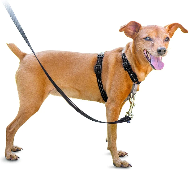 PetSafe 3in1 Harness, from The Makers of The Easy Walk Harness