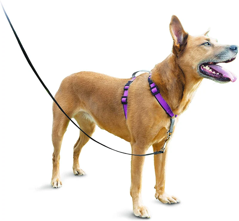PetSafe 3in1 Harness, from The Makers of The Easy Walk Harness