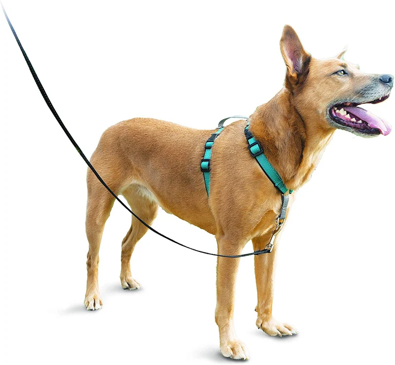 PetSafe 3in1 Harness, from The Makers of The Easy Walk Harness