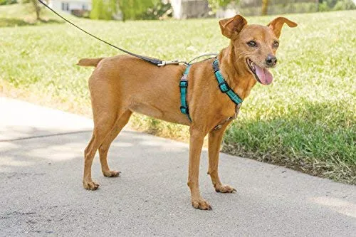 PetSafe 3in1 Harness, from The Makers of The Easy Walk Harness