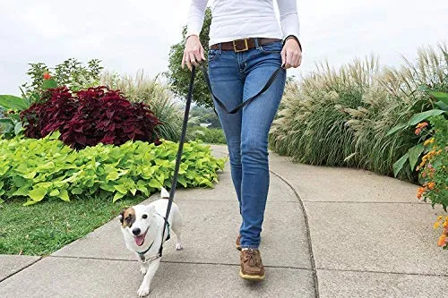 PetSafe 3in1 Harness, from The Makers of The Easy Walk Harness