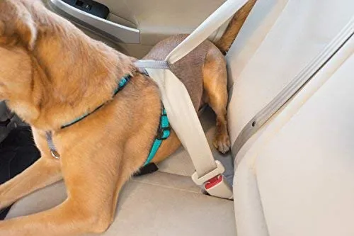 PetSafe 3in1 Harness, from The Makers of The Easy Walk Harness