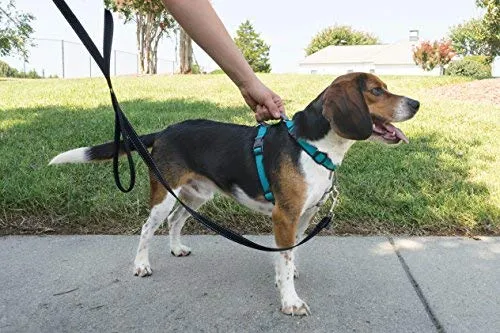 PetSafe 3in1 Harness, from The Makers of The Easy Walk Harness