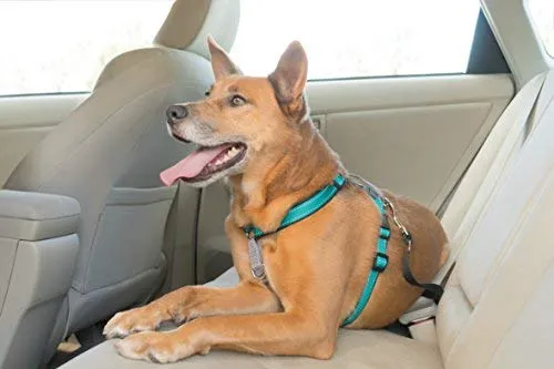 PetSafe 3in1 Harness, from The Makers of The Easy Walk Harness
