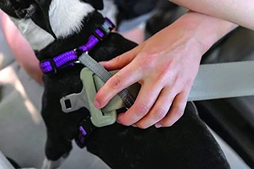 PetSafe 3in1 Harness, from The Makers of The Easy Walk Harness