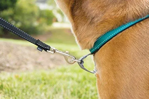 PetSafe 3in1 Harness, from The Makers of The Easy Walk Harness