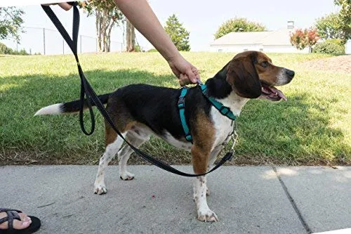 PetSafe 3in1 Harness, from The Makers of The Easy Walk Harness