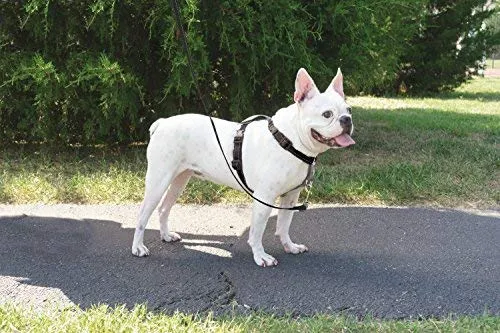 PetSafe 3in1 Harness, from The Makers of The Easy Walk Harness