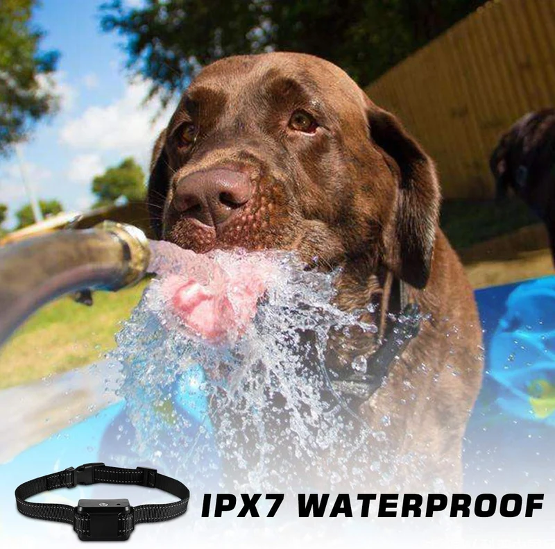 Collar de corteza de citronela KATUR, [2019 más reciente] collar de entrenamiento con rociador de corteza de perro impermeable, recargable, sensibilidad ajustable y volumen de spray para perros pequeños, medianos y grandes
