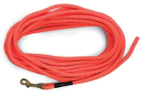Correa anaranjada SportDOG