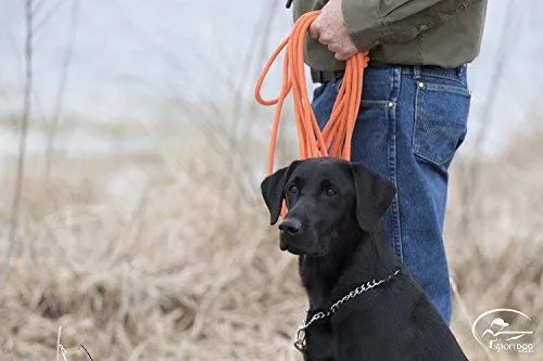 Correa anaranjada SportDOG