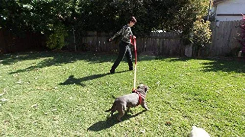 Correa de perro con 2 asas, extra larga, 8 pies, correa resistente, doble asa para mayor control, capacitación en seguridad, perfecto para perro tamaño grande o mediano, asas acolchadas para proteger al perro del tráfico