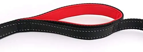 Correa de perro con 2 asas, extra larga, 8 pies, correa resistente, doble asa para mayor control, capacitación en seguridad, perfecto para perro tamaño grande o mediano, asas acolchadas para proteger al perro del tráfico