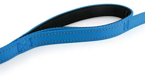 Correa de perro con 2 asas, extra larga, 8 pies, correa resistente, doble asa para mayor control, capacitación en seguridad, perfecto para perro tamaño grande o mediano, asas acolchadas para proteger al perro del tráfico
