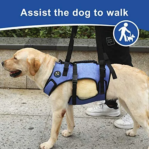 COODEO Arnés de elevación para perro, soporte de cuerpo completo y recuperación de resbalones, chaleco de rehabilitación para mascotas, correas ajustables y transpirables para ancianos, discapacitados, lesiones en las articulaciones, artritis, parálisis p