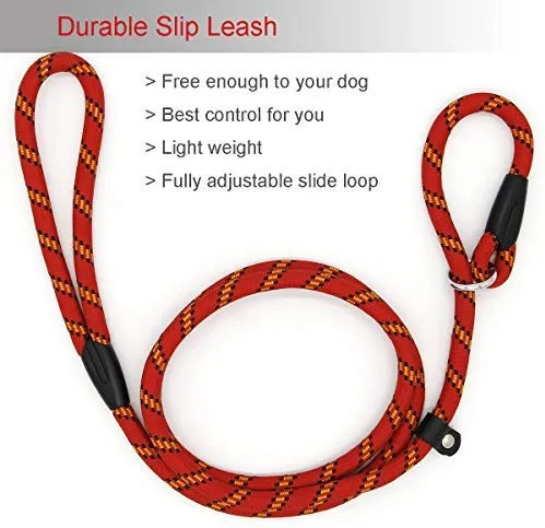 Correa Coolrunner collar de entrenamiento para mascota de Cesar el encantador de perros