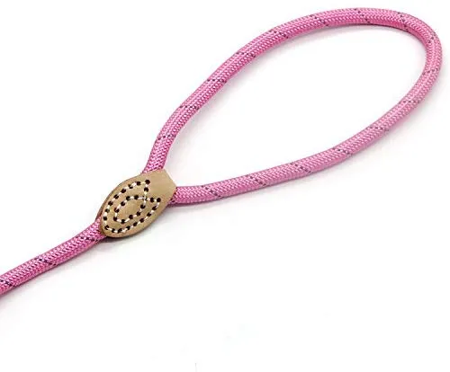 Correa Coolrunner collar de entrenamiento para mascota de Cesar el encantador de perros