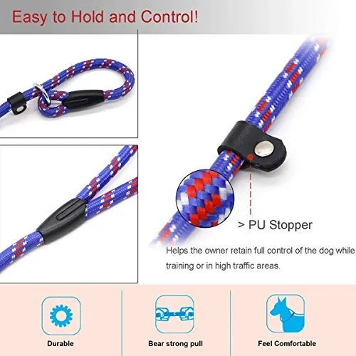 Correa Coolrunner collar de entrenamiento para mascota de Cesar el encantador de perros