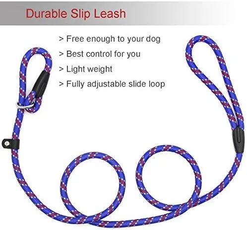 Correa Coolrunner collar de entrenamiento para mascota de Cesar el encantador de perros