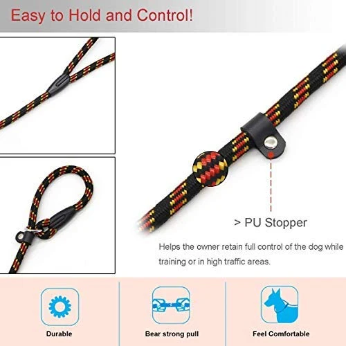 Correa Coolrunner collar de entrenamiento para mascota de Cesar el encantador de perros