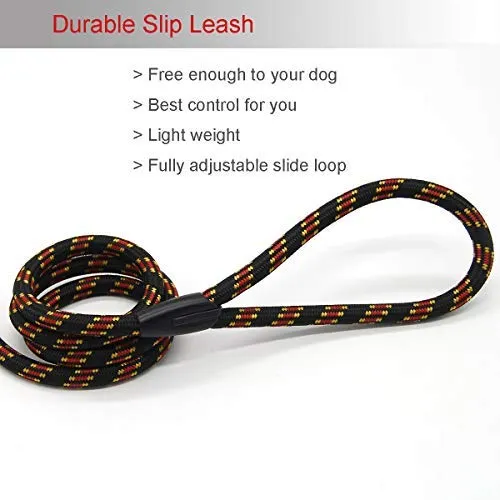 Correa Coolrunner collar de entrenamiento para mascota de Cesar el encantador de perros