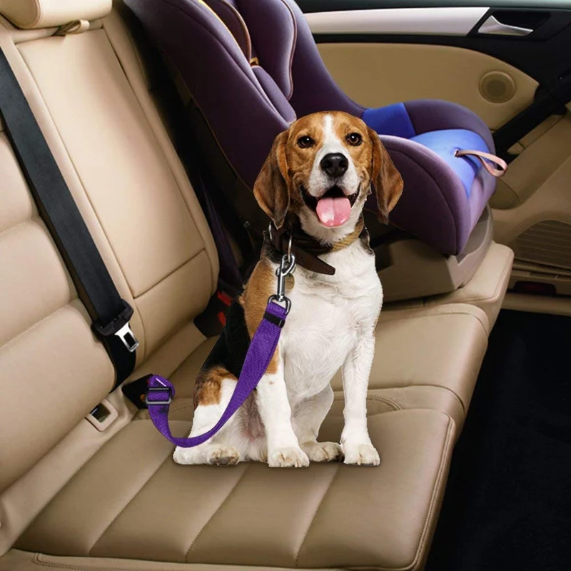 YuCool - Cinturón de seguridad ajustable para mascotas y gatos, 4 unidades, para coche, arnés de coche, tela de nailon, color negro, azul, rojo, morado