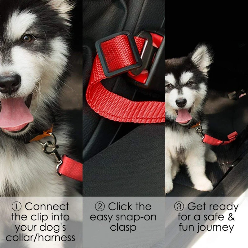 YuCool - Cinturón de seguridad ajustable para mascotas y gatos, 4 unidades, para coche, arnés de coche, tela de nailon, color negro, azul, rojo, morado
