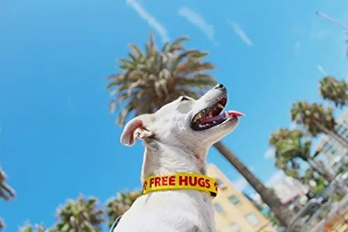 Collar de perro personalizado con texto y arte de alta definición, una alternativa de collar de perro bordado – Fabricado en los Estados Unidos – Disponible en 7 tamaños y 21 colores