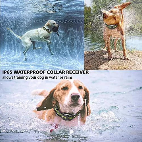 Collar de entrenamiento para perros con tres modos de entrenamiento, collar de entrenamiento impermeable, largo alcance de hasta 2600 pies