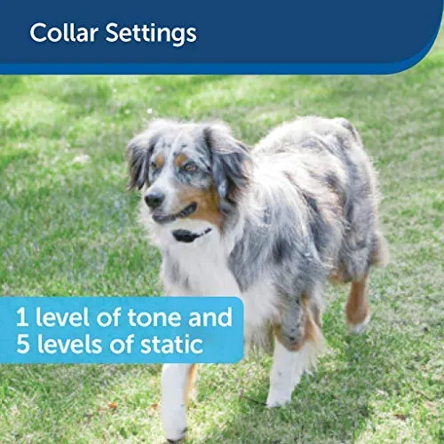 PetSafe Stay & Play Compact Wireless Fence for Dogs and Cats – from the Parent Company of INVISIBLE FENCE Brand – Above Ground Electric Pet Fence.