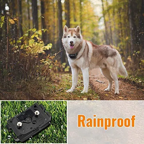 Petrainer PET998DRU Collar de entrenamiento para perro con collar de choque remoto para perros, collar de corteza con vibración de pitido, collar eléctrico para perro, rango de control remoto de 1000 pies