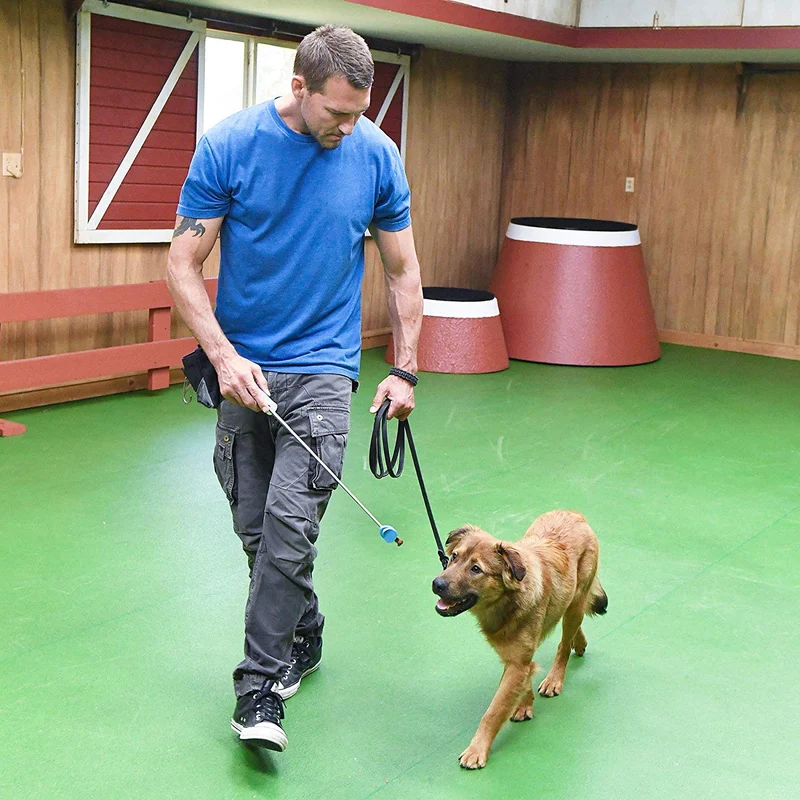 Petmate Brandon Mcmillan - Palo de señuelo