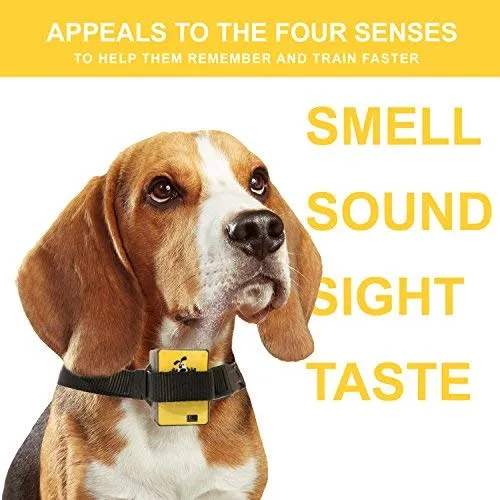 Downtown – Kit para mascotas con cuello de citronela en spray, antiladrillos para perros – Collar seguro y eficaz y con control de ladridos para perros