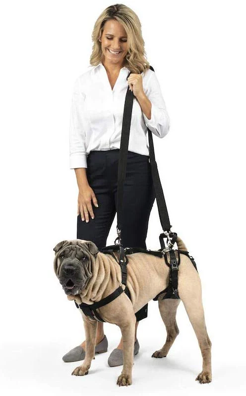 Arnés para perro, soporte de elevación y ayuda, SOLVIT Carelift