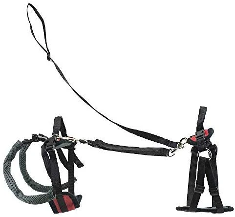 Arnés para perro, soporte de elevación y ayuda, SOLVIT Carelift
