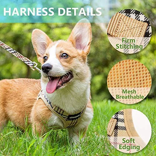 Cherpet - Arnés y correa para cachorro – Chaleco de seguridad a prueba de fugas para perros pequeños, a cuadros, ajustable, sin tirones, malla transpirable, suave para caminar fácilmente al aire libre, ajuste cómodo, gatitos pequeños animales