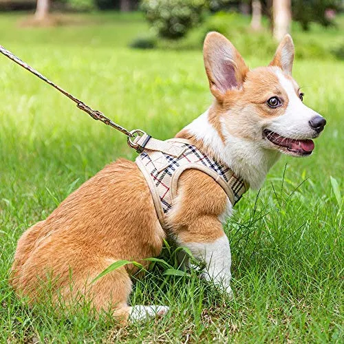 Cherpet - Arnés y correa para cachorro – Chaleco de seguridad a prueba de fugas para perros pequeños, a cuadros, ajustable, sin tirones, malla transpirable, suave para caminar fácilmente al aire libre, ajuste cómodo, gatitos pequeños animales