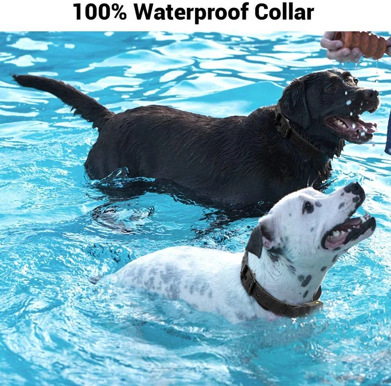 Collar de choque para perros, IPX7, resistente al agua, con mando a distancia, IPX5, 3000 pies, para entrenamiento de perro, efecto de entrenamiento rápido para perros pequeños, medianos y grandes