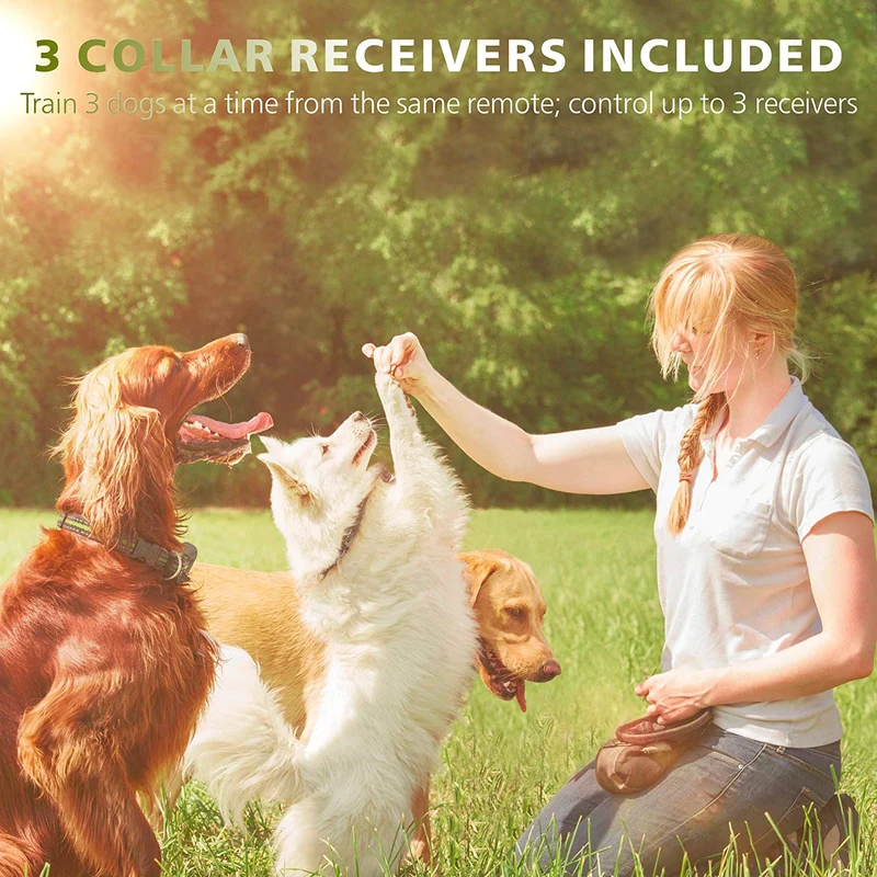 F-color collar de entrenamiento para perro, 2600FT collar de choque para perros grandes medianos y pequeños de raza, con 4 modos de luz de vibración de pitido, collar de choque impermeable y recargable para 3 perros