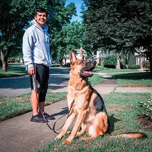 Fairwin - Correa de piel trenzada para perro de 5.9 ft, correa de entrenamiento K9 para pastor alemán