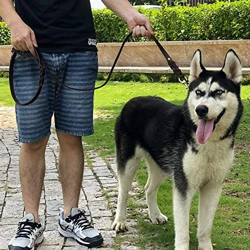 Fairwin - Correa de piel trenzada para perro de 5.9 ft, correa de entrenamiento K9 para pastor alemán