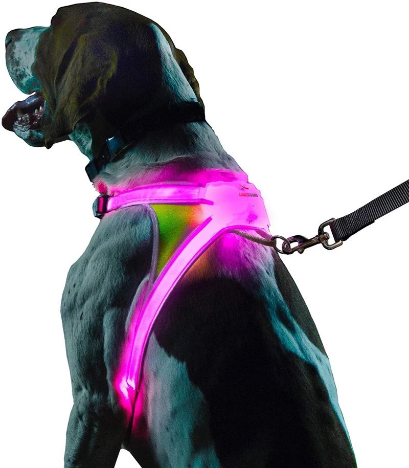 Noxgear lighthound Revolucionario iluminado y reflectante arnés para perros incluso multicoloreado fibra óptica LED (recargable por USB, ajustable, ligero, impermeable).
