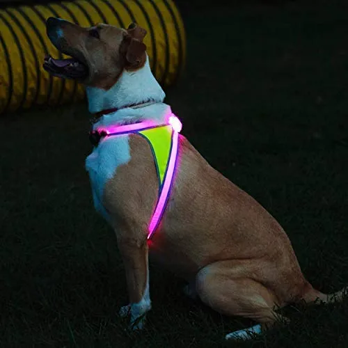 Noxgear lighthound Revolucionario iluminado y reflectante arnés para perros incluso multicoloreado fibra óptica LED (recargable por USB, ajustable, ligero, impermeable).