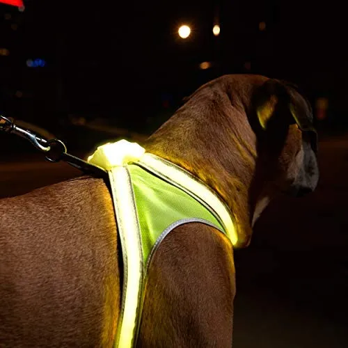 Noxgear lighthound Revolucionario iluminado y reflectante arnés para perros incluso multicoloreado fibra óptica LED (recargable por USB, ajustable, ligero, impermeable).
