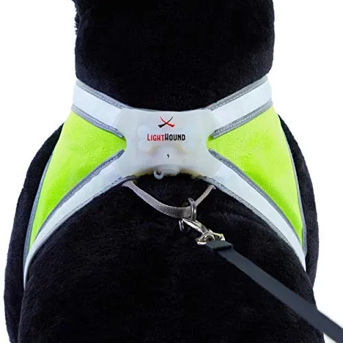 Noxgear lighthound Revolucionario iluminado y reflectante arnés para perros incluso multicoloreado fibra óptica LED (recargable por USB, ajustable, ligero, impermeable).