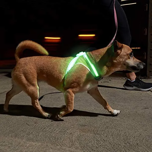 Noxgear lighthound Revolucionario iluminado y reflectante arnés para perros incluso multicoloreado fibra óptica LED (recargable por USB, ajustable, ligero, impermeable).